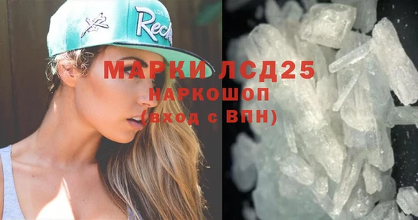 индика Аркадак