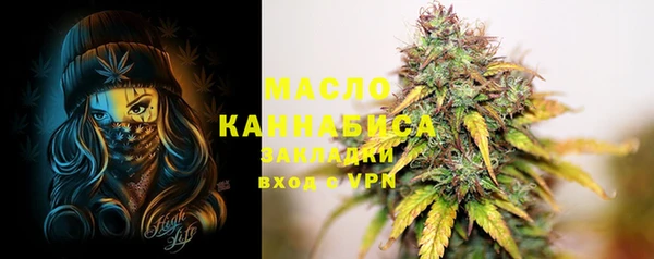 индика Аркадак