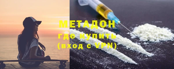 индика Аркадак