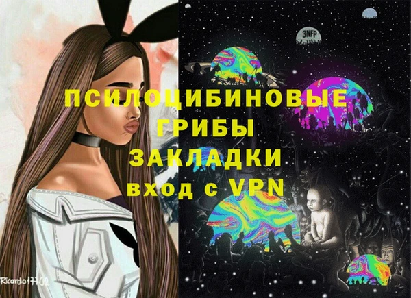 индика Аркадак