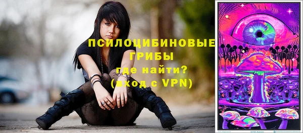 индика Аркадак