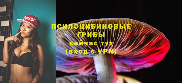 прущий лед Армянск
